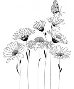 Indaco – Indigofera tinctoria